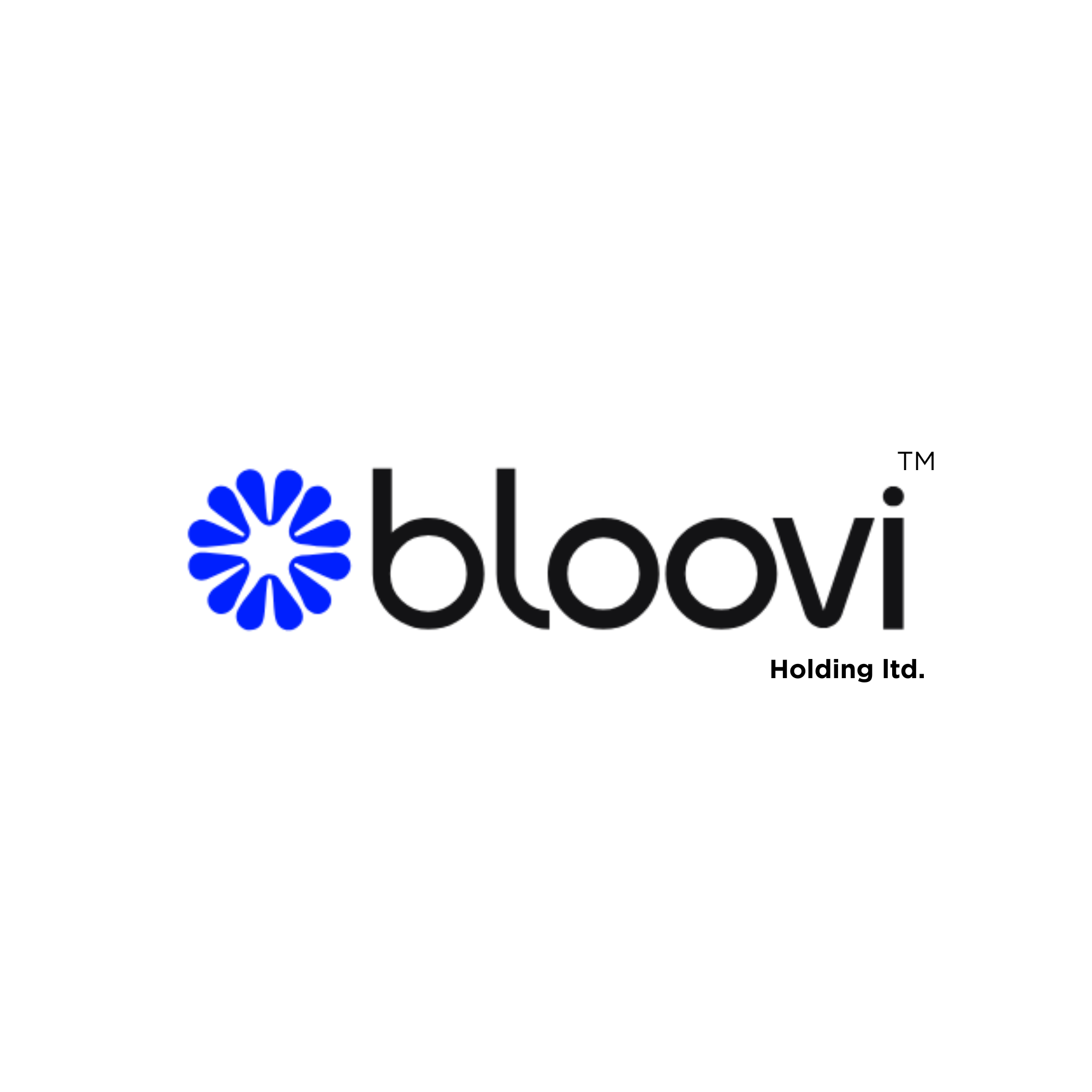 Bloovi Holding